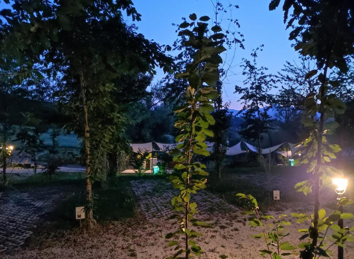 Saecula Natural Village Experience Force エクステリア 写真